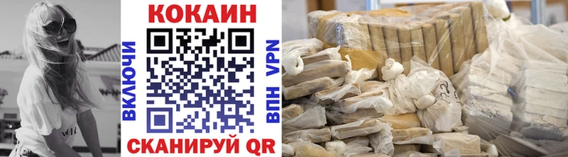 Cocaine FishScale  Купить закладки  Зубцов 