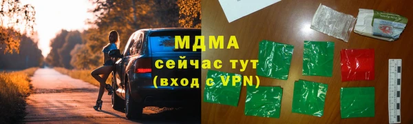 прущие грибы Заволжск