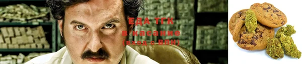 прущие грибы Заволжск