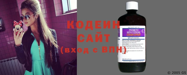 прущие грибы Заволжск