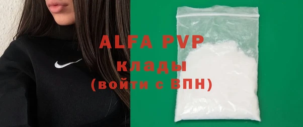 прущие грибы Заволжск