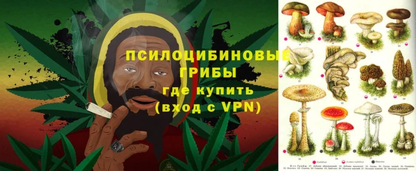 прущие грибы Заволжск
