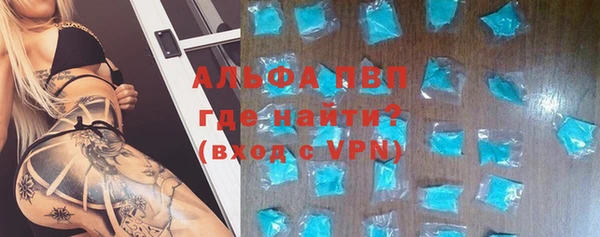 прущие грибы Заволжск