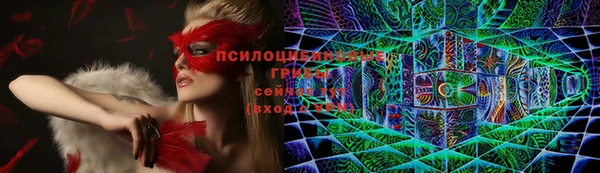 Альфа ПВП Заводоуковск