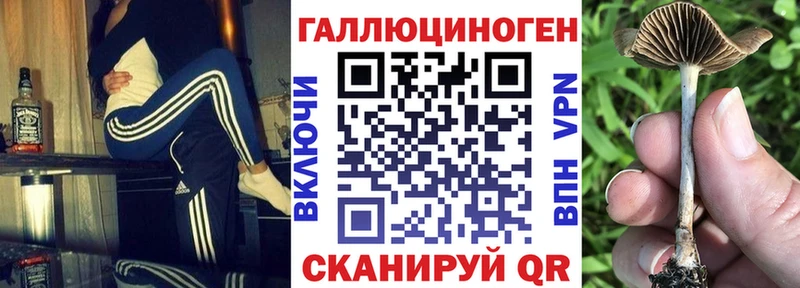 Купить где  Зубцов  Псилоцибиновые грибы мицелий 